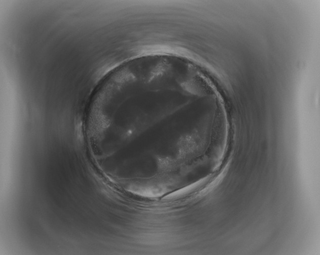 X0000111051497200907021608