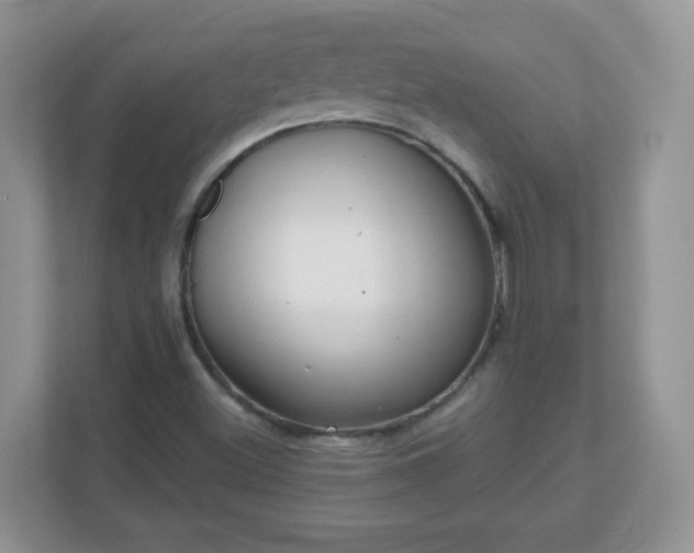 X0000111051500200907021608