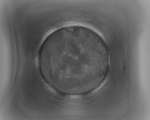 X0000111051501200907021608