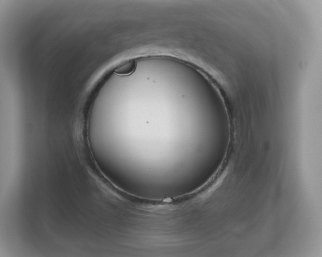 X0000111051502200907021608