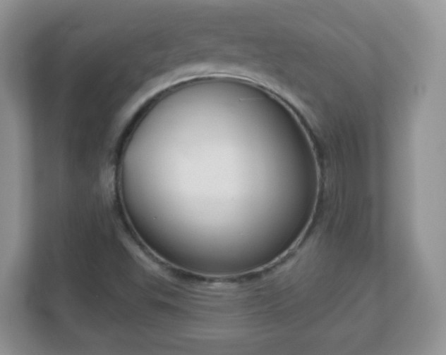 X0000111051503200907021608