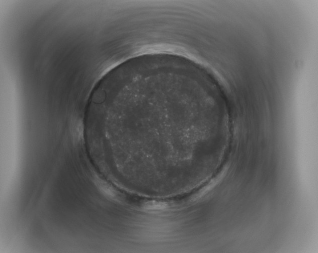 X0000111051505200907021608