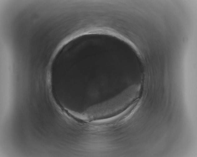 X0000111051506200907021609