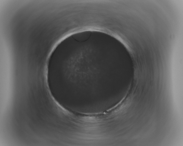 X0000111051508200907021609