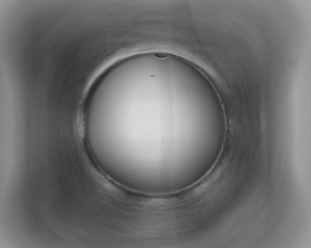 X0000111051510200907021609