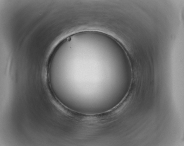 X0000111051511200907021609