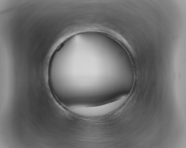 X0000111051512200907021609