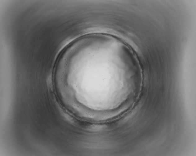 X0000111051513200907021609