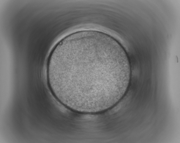 X0000111051514200907021609