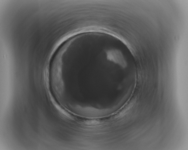 X0000111051515200907021609