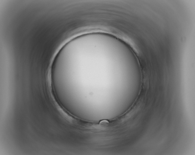 X0000111051516200907021609