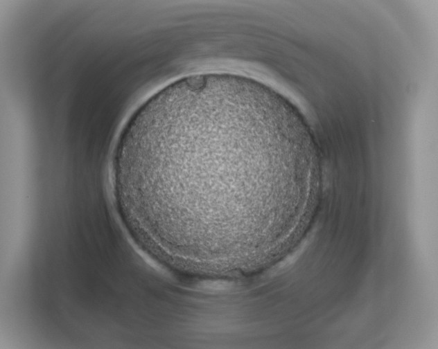 X0000111051517200907021609