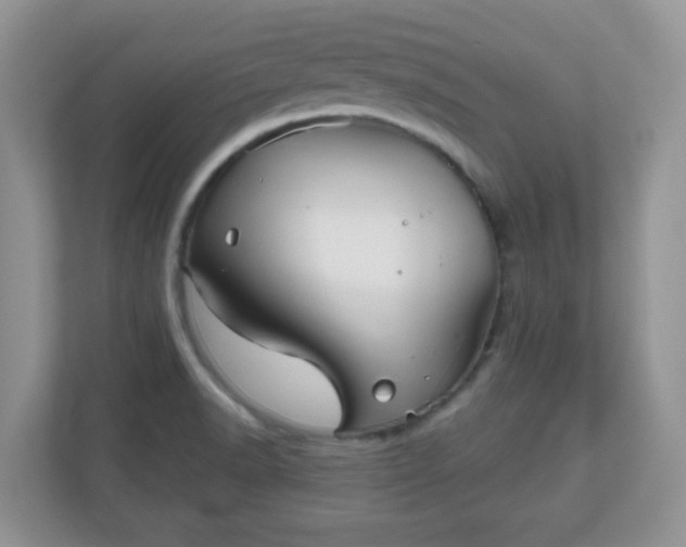 X0000111051518200907021609