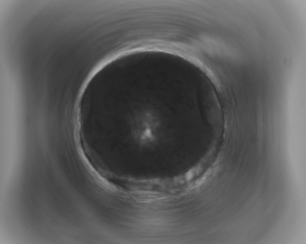 X0000111051522200907021609