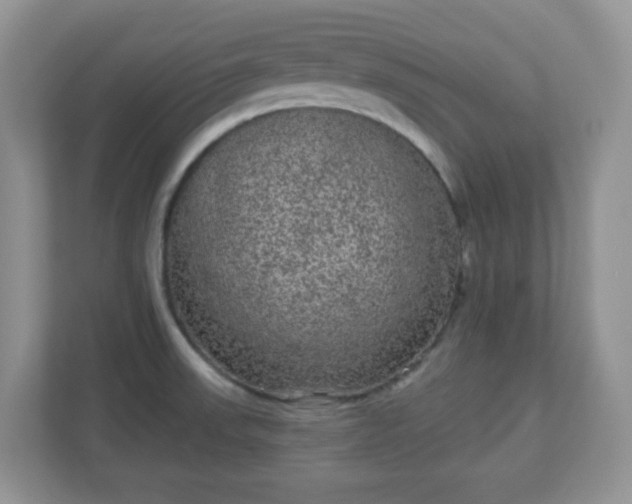 X0000111051523200907021609