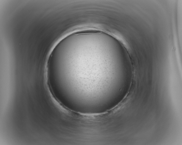 X0000111051524200907021609