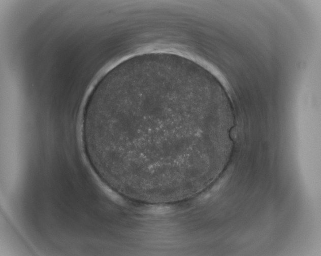 X0000111051525200907021609