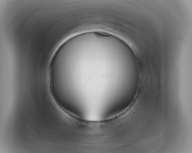 X0000111051526200907021609