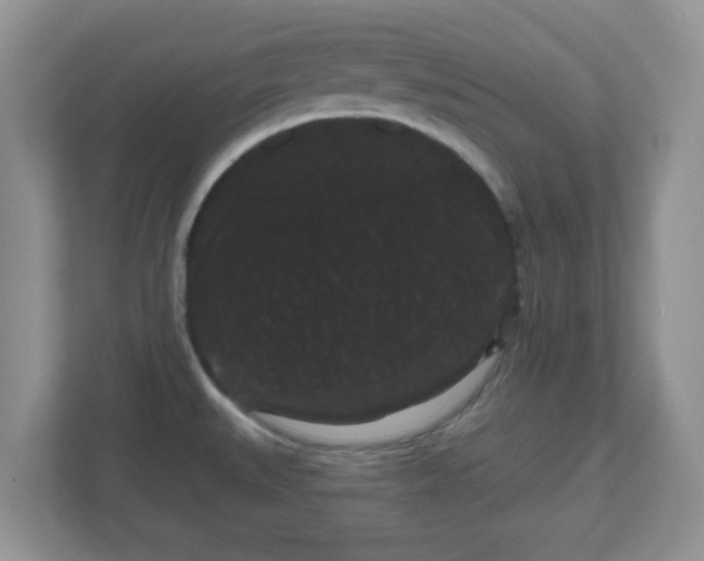 X0000111051527200907021609