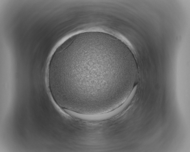 X0000111051528200907021609