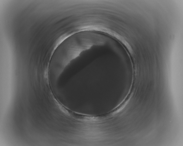 X0000111051529200907021609