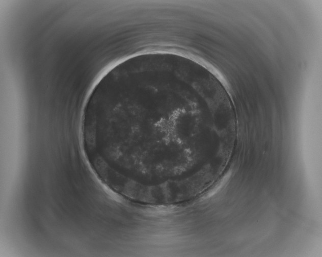 X0000111051533200907021609