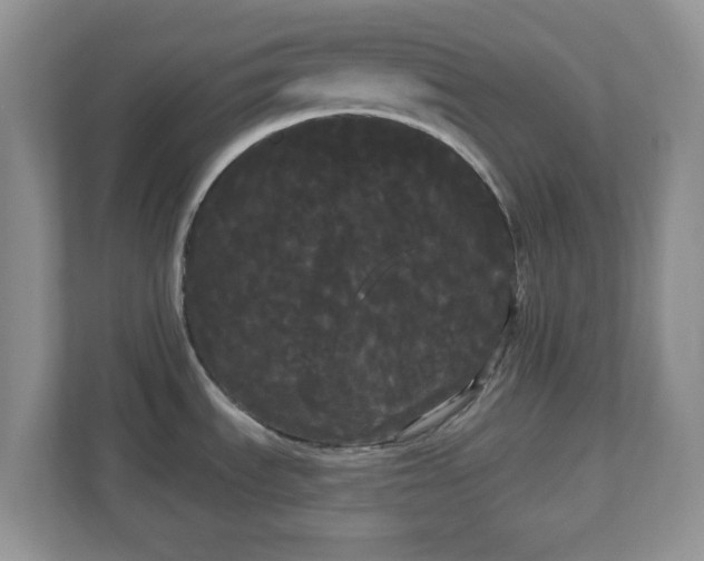 X0000111051535200907021609