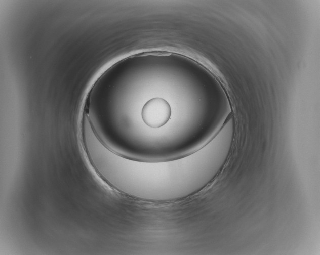 X0000111051536200907021609