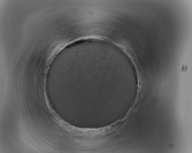 X0000111050001200907091644