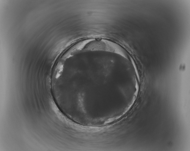 X0000111050002200907091644