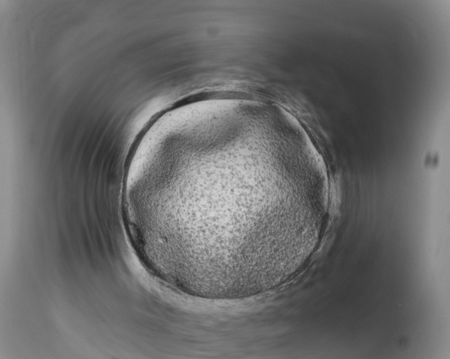 X0000111050003200907091644