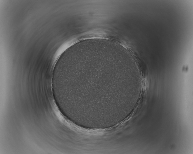 X0000111050004200907091644