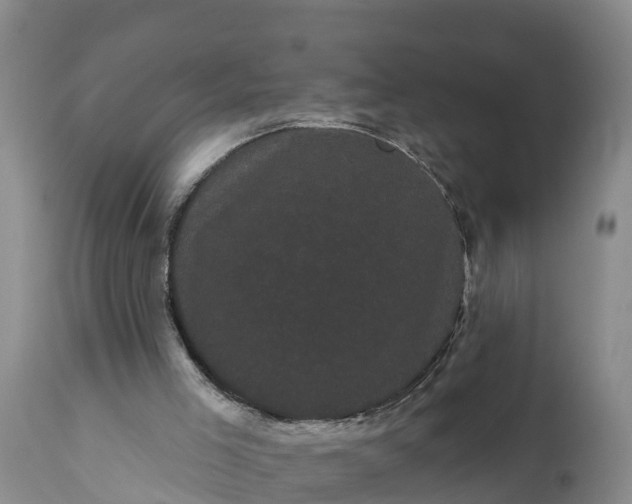 X0000111050005200907091644