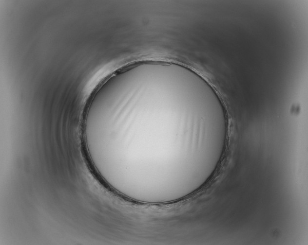 X0000111050007200907091644