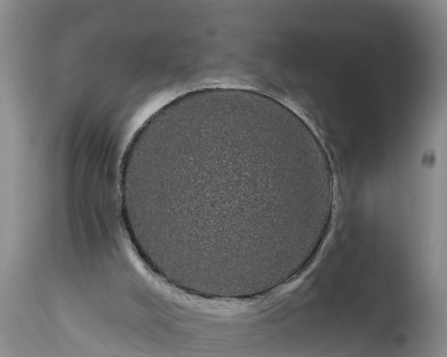 X0000111050008200907091644