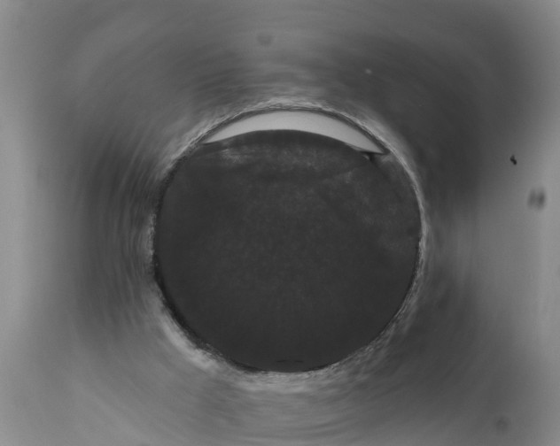 X0000111050009200907091644