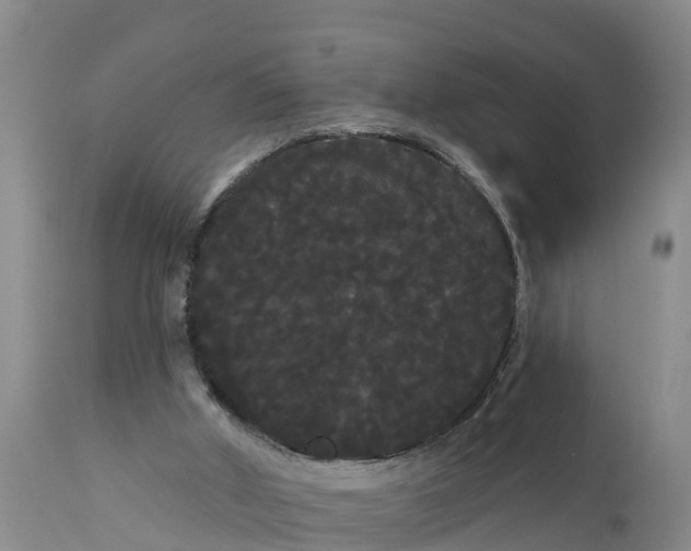 X0000111050010200907091644