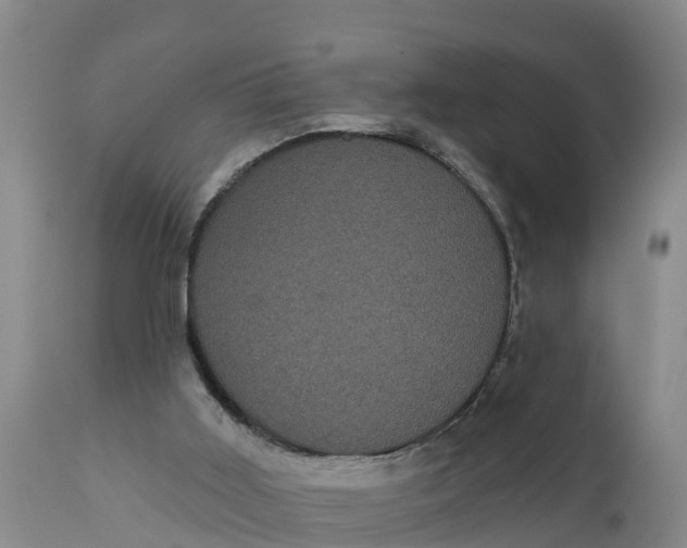 X0000111050011200907091644