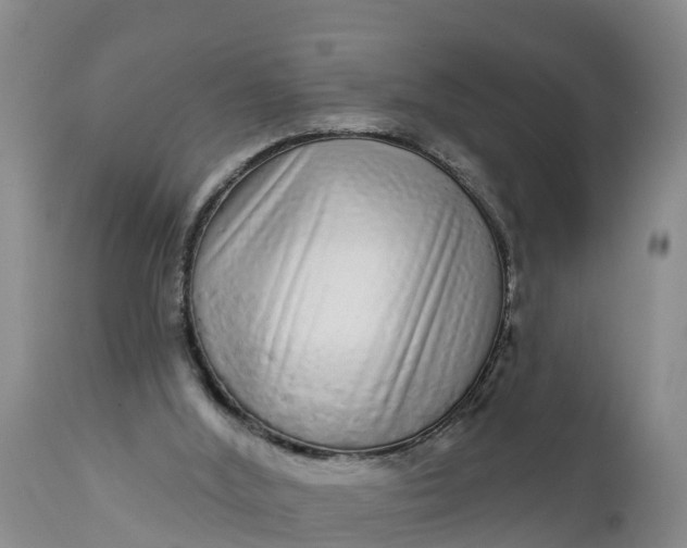 X0000111050012200907091644