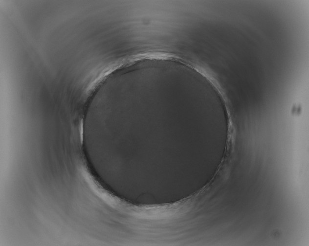 X0000111050013200907091644