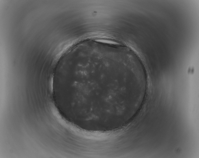 X0000111050014200907091644