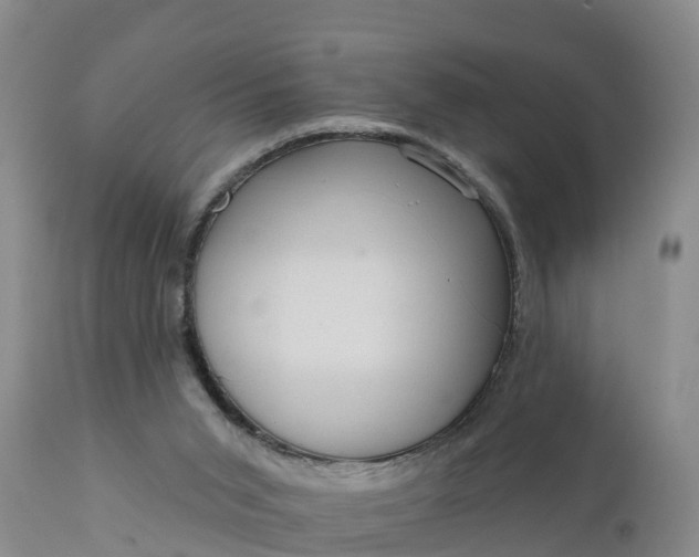 X0000111050015200907091644