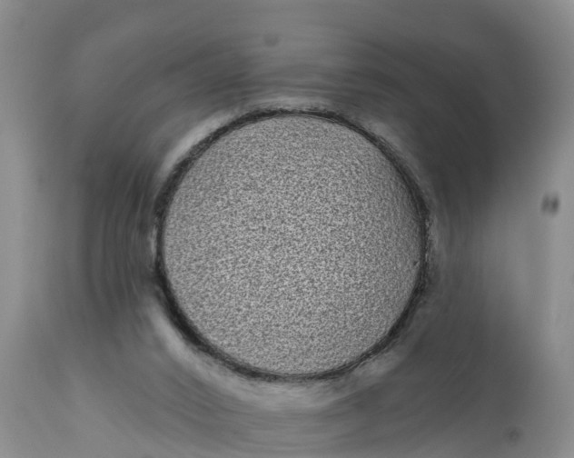 X0000111050016200907091644