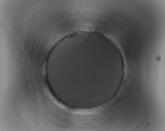 X0000111050017200907091644