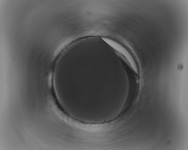 X0000111050019200907091644