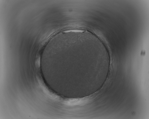 X0000111050021200907091644