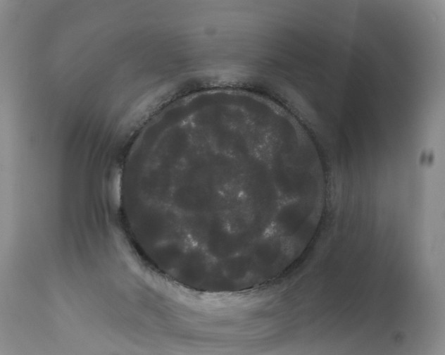 X0000111050022200907091644