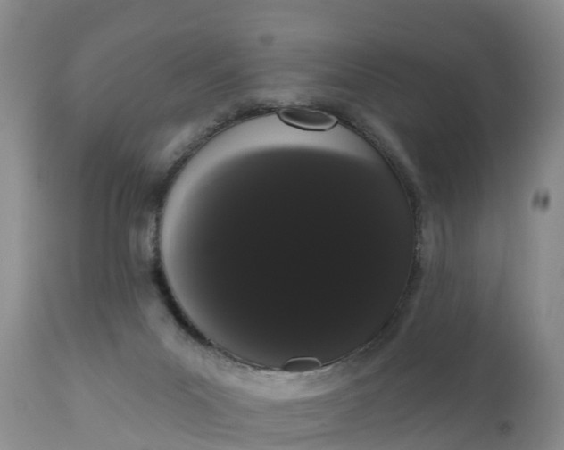 X0000111050023200907091644