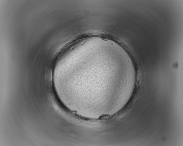 X0000111050024200907091644