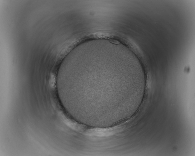 X0000111050025200907091644